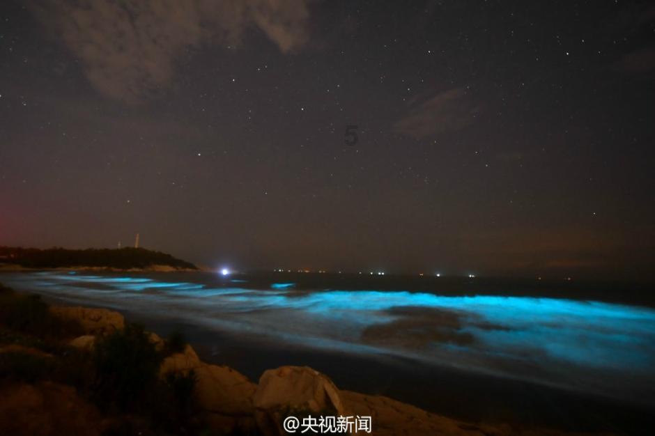冰火人魔岛探险