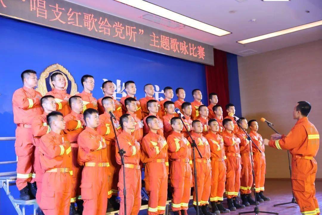 可爱猪救援2